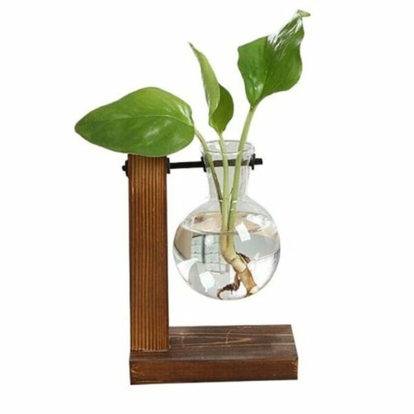 One Glass Vase Wooden Stand